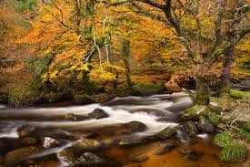 River Dart in Autumn